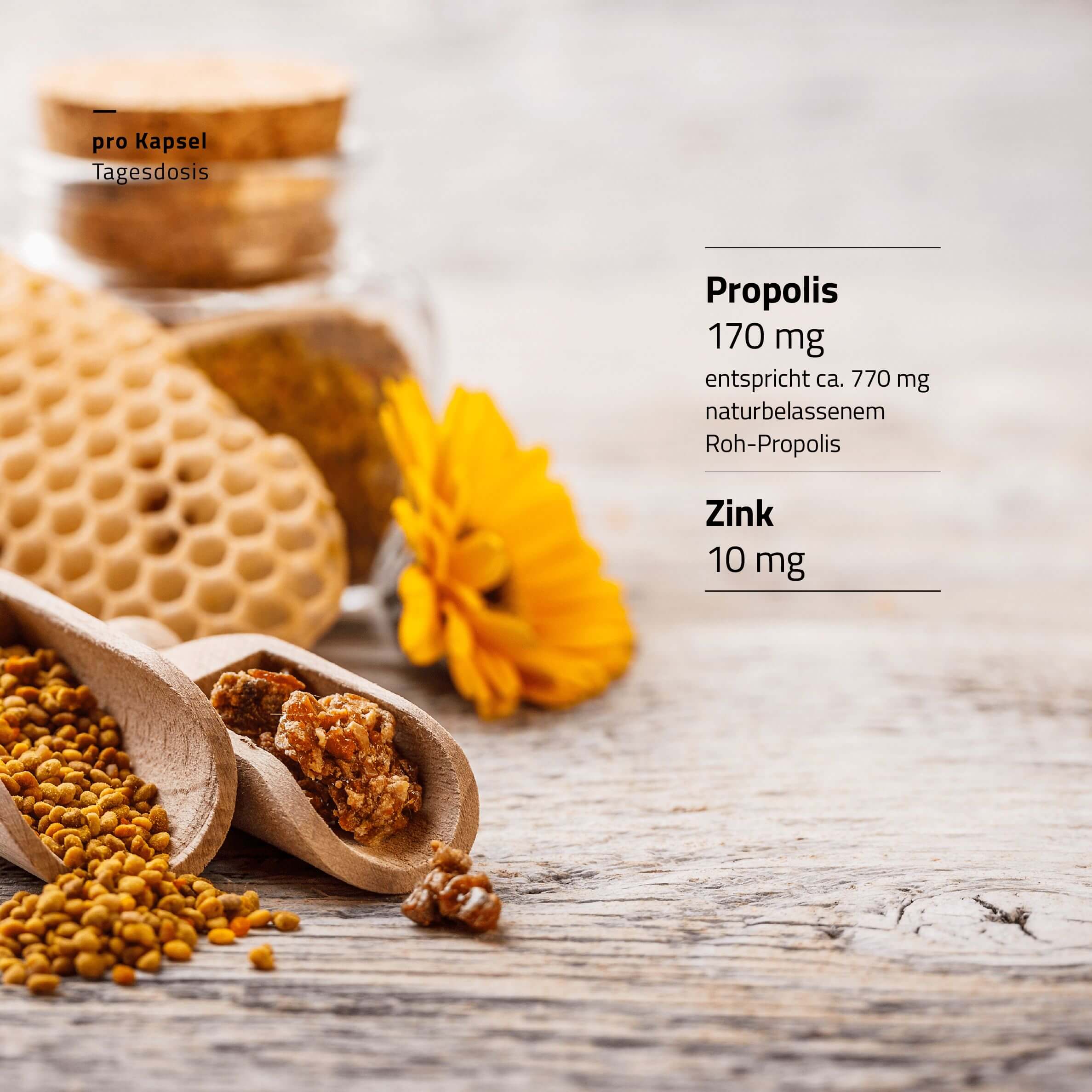 beecraft Propolis Kapseln Plus