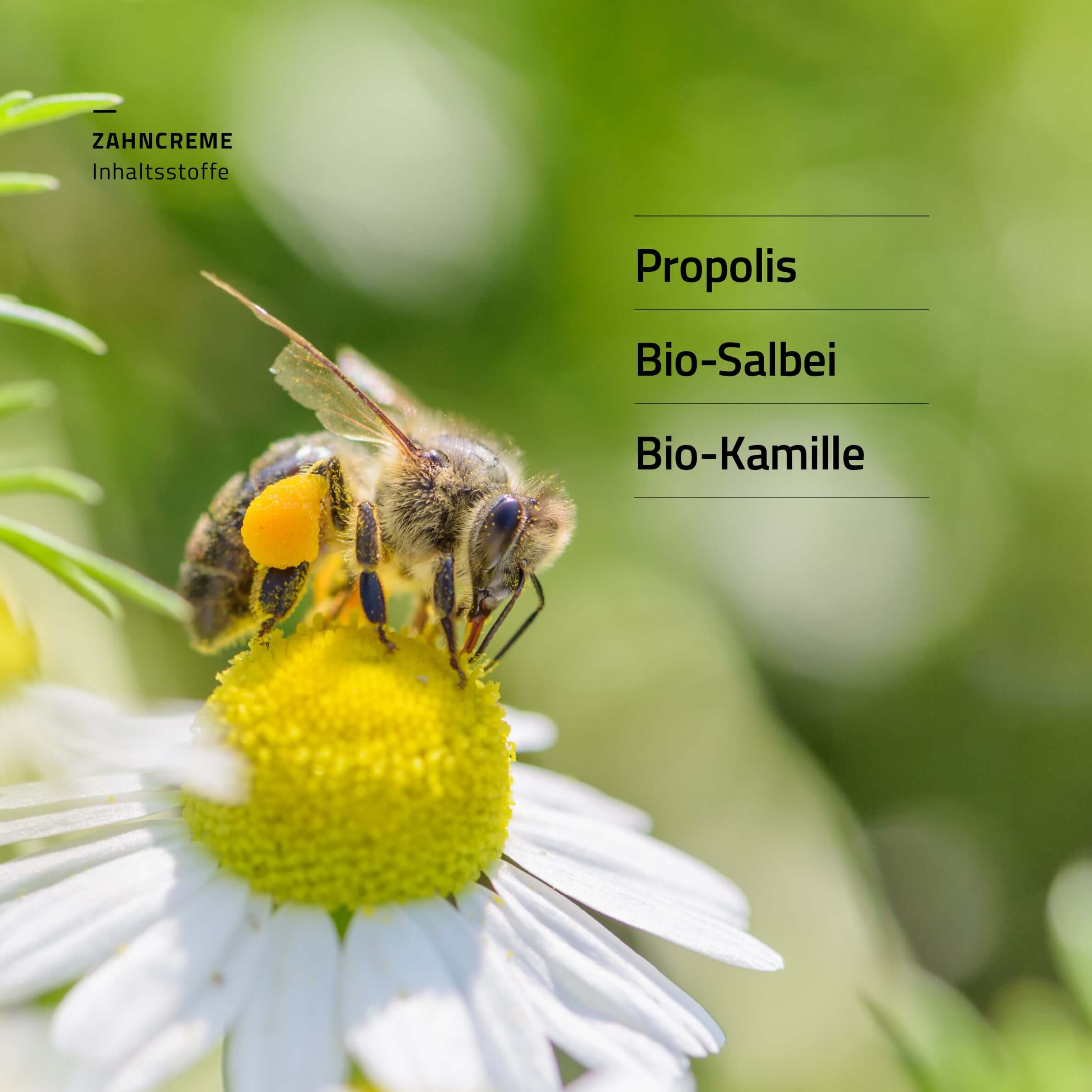 beecraft Propolis Zahncreme, 50 ml
