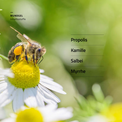 beecraft Propolis Mundgel, 20 ml