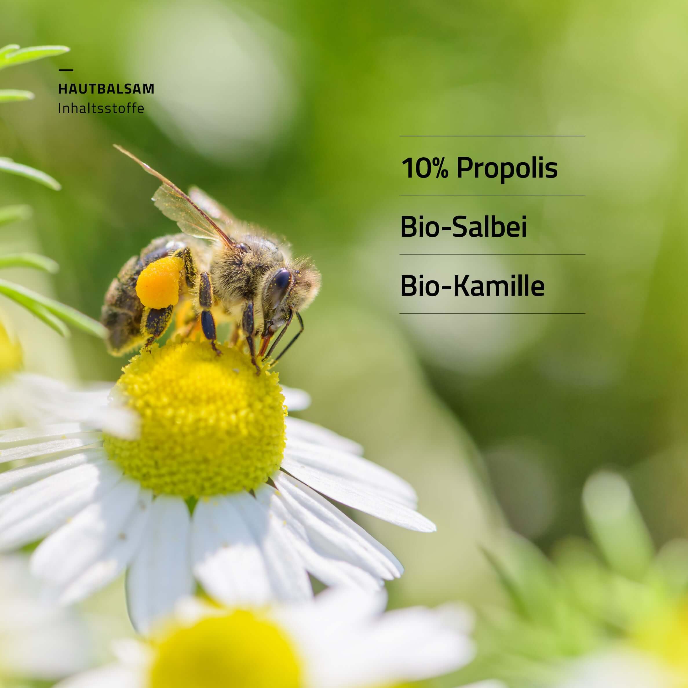 beecraft Propolis Hautbalsam, 30 ml