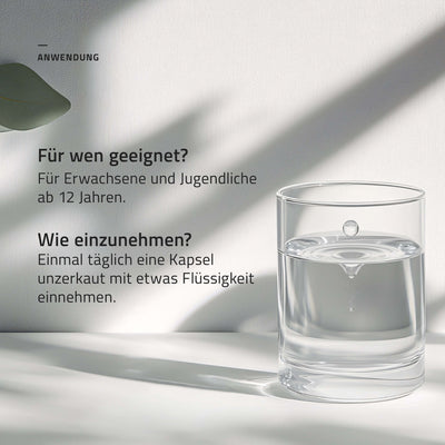 beecraft Gelée Royale mit Manuka-Honig, 60 Kapseln