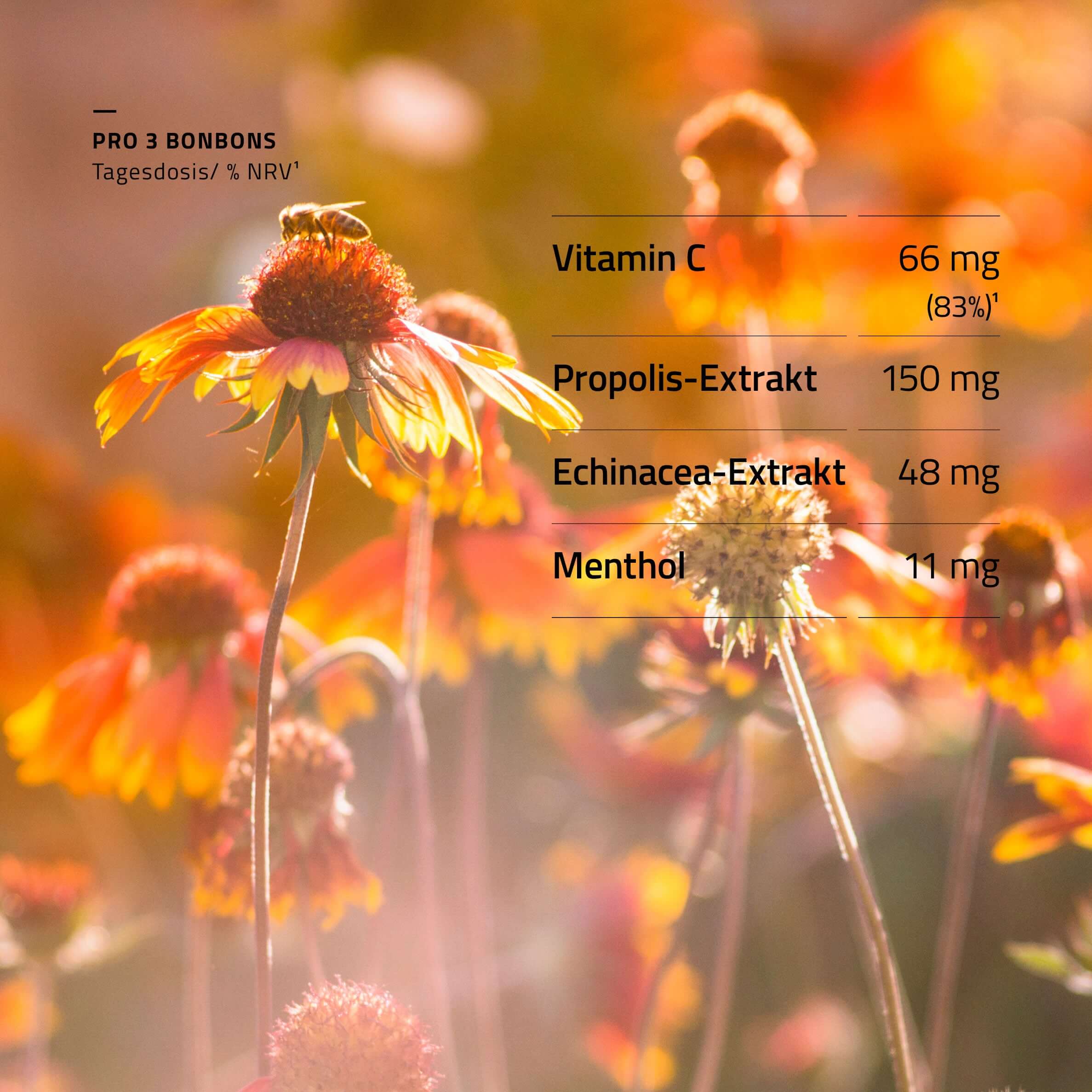 beecraft Propolis Hustenbonbons, 24 Stück