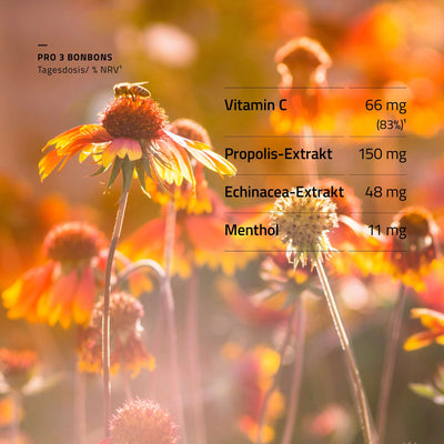 beecraft Propolis Hustenbonbons, 24 Stück